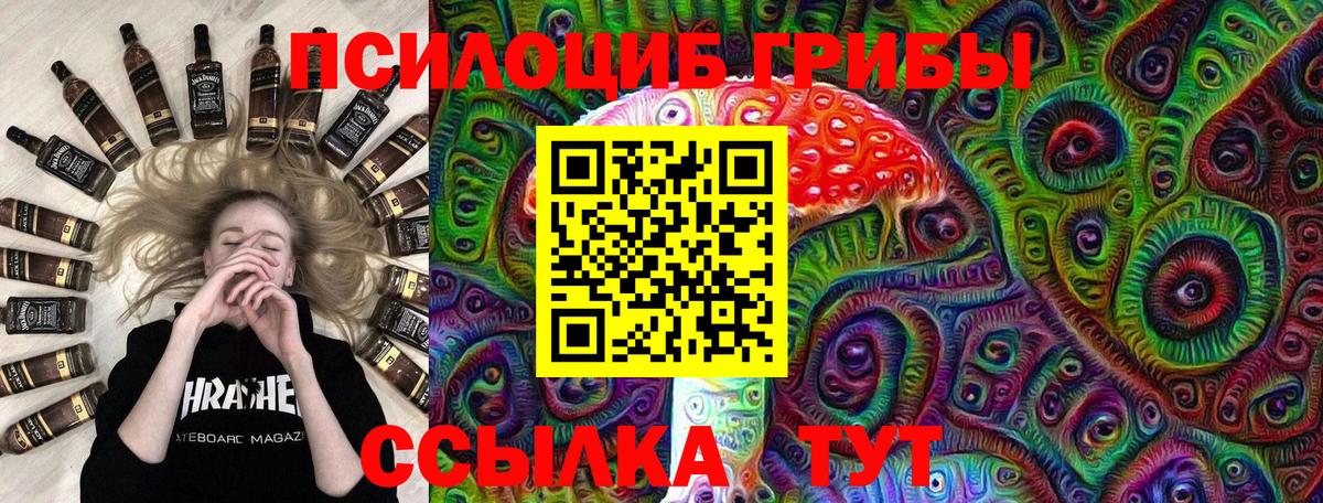 Псилоцибиновые грибы GOLDEN TEACHER Черногорск